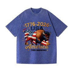 Patriotic 250th Anniversary Buffalo Washed T-Shirt – 1776-2026 USA Tee