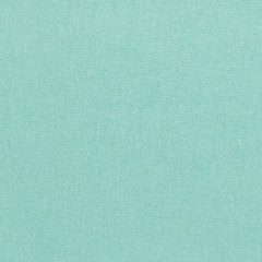 Hanes 5250 Authentic-T Unisex T-Shirt Clean Mint Crew Neck Short Sleeve NEW