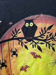 Halloween Black Cat Pumpkin Bats Owls Graphic Shirt Mens XL NEW