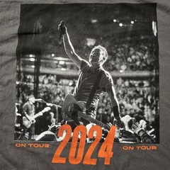 Springsteen E Street Band Shirt Mens Large Gray 2024 On Tour Concert Tee