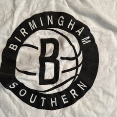 Birmingham Southern Basketball T-Shirt Mens Medium Panthers White Alabama