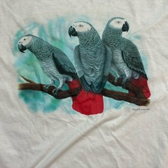 Vintage 1994 T Shirt Adult Xl White Nature Birds Outdoor Tropical Elliott Arts