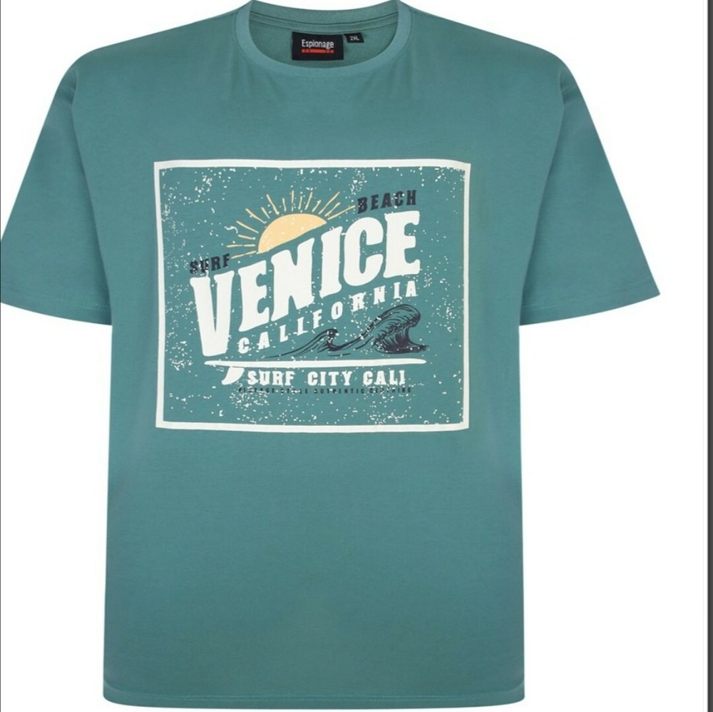 NEW IN ESPIONAGE GREEN VENICE BEACH TEE SHIRT T350 2XL3XL 4XL5XL6XL7XL8XL