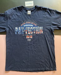 Vtg 2007 New England Patriots Undefeated 16-0 Regular Season Pat Perfection Lg