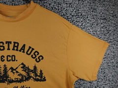 Levi’s Strauss Authentic Clothing Mountain Print Mens T-Shirt Yellow, Size Small