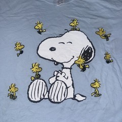 Peanuts Snoopy Woodstock Embroidered Graphic T-Shirt Light Blue XL