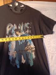 Panic at The Disco Mens Black “Pray For The Wicked” Tultex T-SHIRT MEDIUM Clean