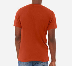 NEW Blank Bella + Canvas Triblend Unisex/Mens T-Shirt #3413 Various Colors