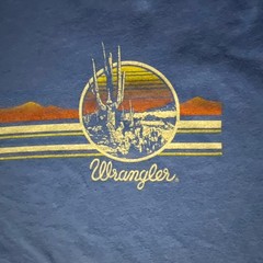 Wrangler Retro T-Shirt Mens M Blue Desert Sunset Cactus Graphic Tee EUC