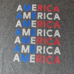 Patriotic America T Shirt Spell Out All Over XL XG TG Gray