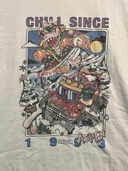 Vintage John Galt Aspen Switzerland Chill Since 1993 Single Stitch Tee OSFA