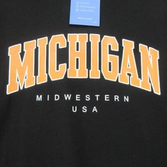 Michigan Midwestern USA Mens Graphic T-Shirt Black Stretch Crew Neck L New