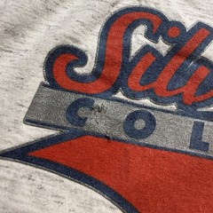 Vintage 90s Colorado Silver Bullets Female Baseball T-Shirt Adult Large