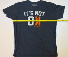Lot of 2 Baseballism T-Shirts Mens Sz Large 3-1 Count & It’s Not OK Tees
