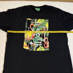 Vintage Y2K LRG Lifted Research Group Flamingos Tropical Fresh Outdoors Shirt M