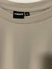NEW Mens Raglan Tee Crewneck T-Shirt Neutral Bone Color Active Tee Athletic Fit