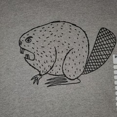 Duluth Trading Co Beaver Graphic Longtail T Shirt Gray XL 100% Cotton NWT
