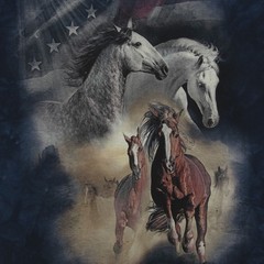 The Mountain Born Free Horses Men’s Graphic Short Sleeve T-Shirt in Navy, Medium