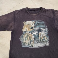 VTG Y2K Polar Bear Fairbanks Alaska Mens L Large? Distressed Faded T Shirt