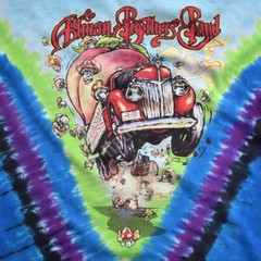 ALLMAN BROTHERS-PEACH MUSHROOM-TIE DYE T-SHIRT M-L-XL-XXL Trucks,Haynes,Betts