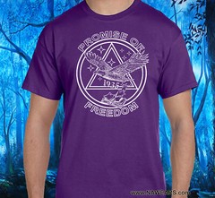 Alcoholics Anonymous – PROMISE OF FREEDOM Tee – Select Your Color S-4X