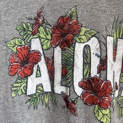 Aeropostale Gray Aloha Floral Graphic Print Crewneck Short Sleeve T-Shirt L