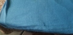 HEDONISM TEE SHIRT 70S NEGRIL BEACH VILLAGE COOL SOFT THIN SHIRT ALMOST SEE THRU
