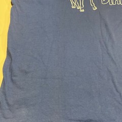 Vintage Napoleon Dynamite Blue T-Shirt Mens XL Tina Llama NWOT Nice