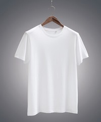 Anthem Classic Mens Short Sleeve Organic Cotton Round Neck Plain 145gsm TShirt