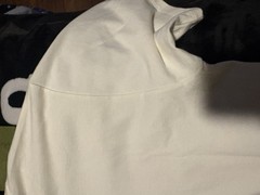 gucci t shirt men medium TRIED ON NEVER WORN WITH TAGS 100% Authentic