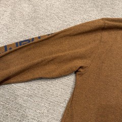 Carhartt Shirt Mens Medium Brown Long Sleeve Logo Workwear Tee Original Fit Work