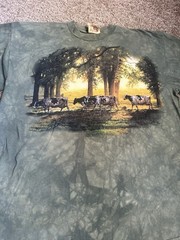 The Mountain Mens T-shirt Vintage 1999 Green “Roaming Cows” Leather Tag Size XL