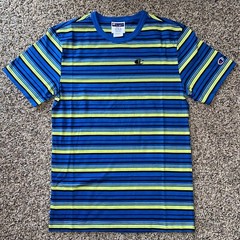 Champion Classic Tailored Stripe Short Sleeve T-Shirt Blue Green Black Men’s NWT