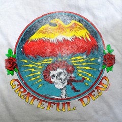 GRATEFUL DEAD-BERTHA EAGLE-RETRO LOOK-TIE DYE T-SHIRT S-M-L-XL-XXL,3X-4X-5X-6X