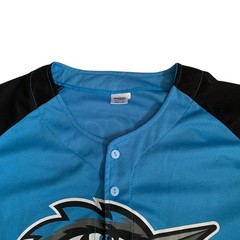Success Brand MiLB Adult Men’s Size XL Fayetteville Woodpeckers #22 Mesh Jersey