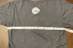 Skateboard Shirt What Could Possibly Go Wrong Grey Small District Made SCI