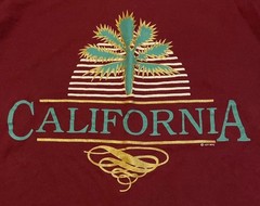 Vtg 80s California Palm Tree Faded Shirt M USA Art Beach Surf Grunge OP TC 90s