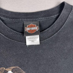 Harley-Davidson Shirt Mens 2XL Black Fall Ride Northern Lights Graphic 2009
