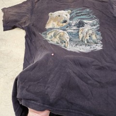 VTG Y2K Polar Bear Fairbanks Alaska Mens L Large? Distressed Faded T Shirt