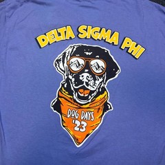 Delta Sigma Phi Dog Days 23 T Shirt Mens Medium Purple Graphic Fraternity Tee
