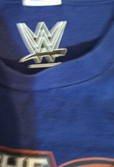 WWE 2018 Rey Mysterio Master of the 619 Wrestling T Shirt Blue Size M