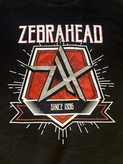 Zebrahead Tour Band Tshirt Mens XL