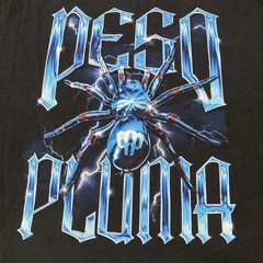 Peso Pluma Shirt XL Doble P Tour Concert Album Mexican Singer Rap Spider Tee