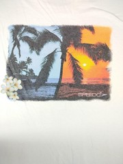 Speedo Shirt Mens Medium White Tropical Palm Sunset Graphic Tee Beach Summer