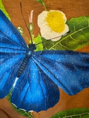 Obey T-Shirt Adult Small Blue Butterfly’s Graphic Tee Brown Quality Dissent EUC
