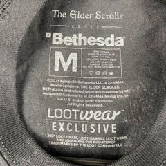 Elder Scrolls Online Flames of Ambition Bethesda Loot Crate T Shirt Men