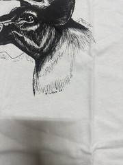 NWT Filson Caribou Short Sleeve T Shirt Pioneer Graphic White Black Made in USA