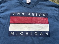 Vintage Ann Arbor Michigan Shirt Mens Large Blue 90s Single Stitch Delta City