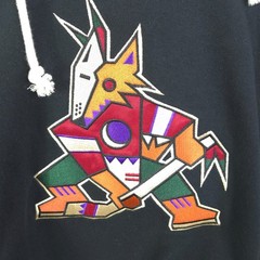 47 Brand NHL Arizona Coyotes Lace Up Hoodie Size 3XL NWT – Hockey Fan Gear