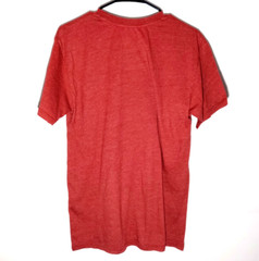 Men’s Red, Distressed Look Logo, Gryffindor Quidditch T-Shirt in Size Medium